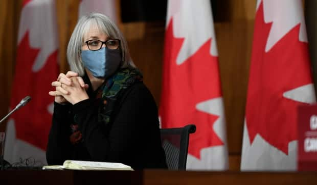 Health Minister Patty Hajdu, shown at a news conference in Ottawa in December, says vaccination is a major tool in fighting COVID-19 and avoiding another spike in cases. (Justin Tang/The Canadian Press - image credit)