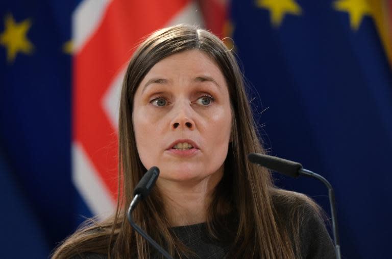 Brexit deal: Norway-style EEA membership may not be right for UK, says Iceland prime minister