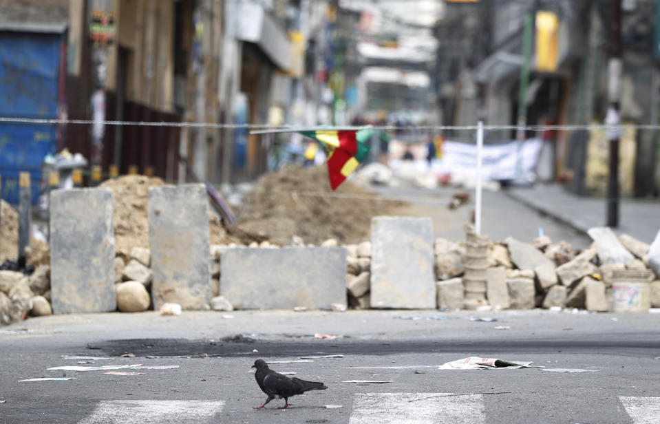 A dove walks past a barricade made by anti-government demonstrators, meters away from the presidential palace in La Paz, Bolivia, Sunday, Nov. 10, 2019. President Evo Morales is calling for new presidential elections and an overhaul of the electoral system Sunday after a preliminary report by the Organization of American States found irregularities in the Oct. 20 elections. (AP Photo/Juan Karita)