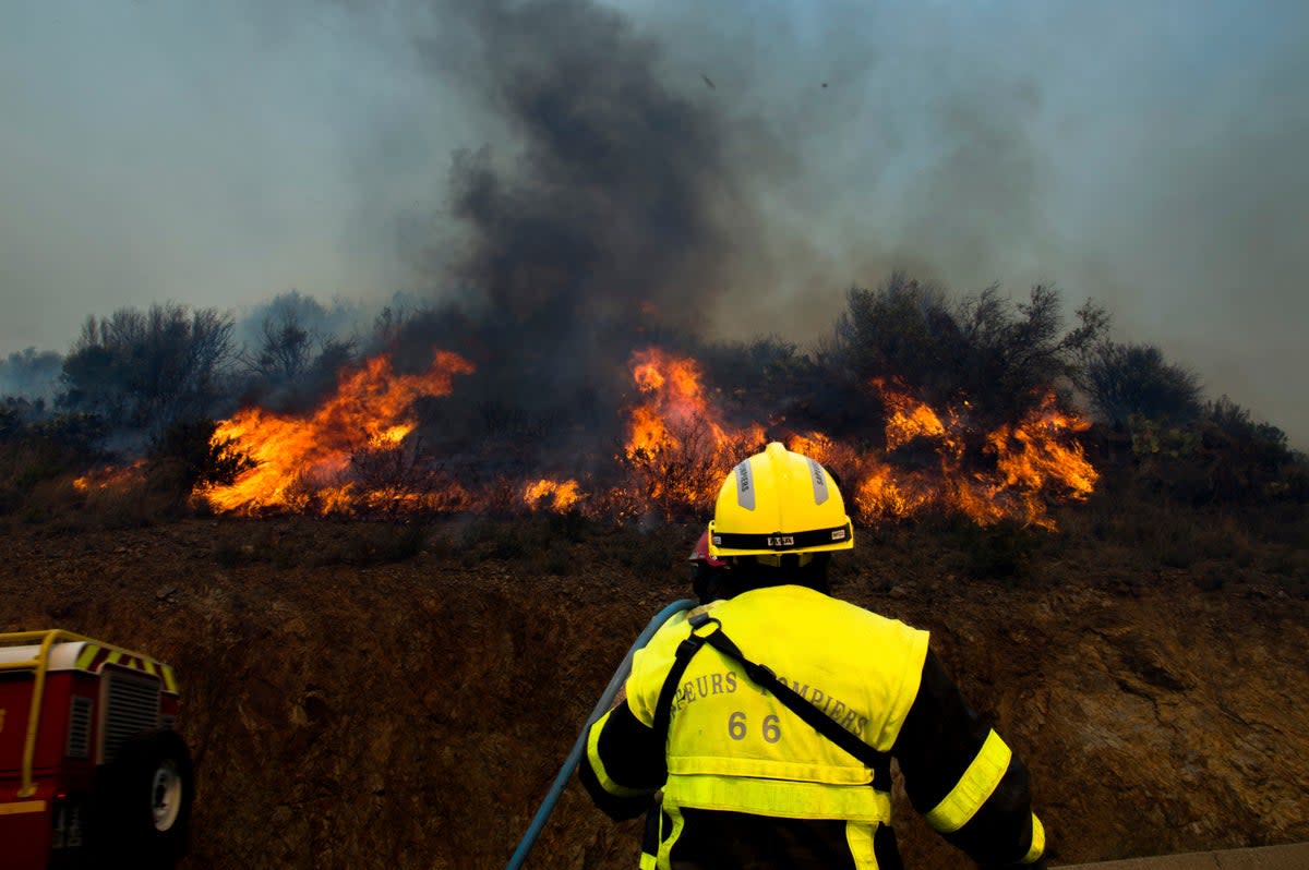 A firefighter tackles a forest fire near Cerbere in southern France on Sunday  (AP)