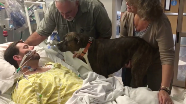 This is the heartbreaking moment a pet dog says goodbye to her dying owner