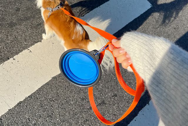 <p>The Spruce Pets / Bianca Kratky</p> Woman walks a dog on a leash