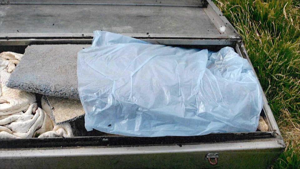 What Dani Green didn't tell police was that she cut out a piece of carpet from the trailer floor and put it in the toolbox where Ray's body was found. / Credit: Indiana Court of Appeals