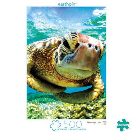 11) Turtle Swimmer Jigsaw Puzzle