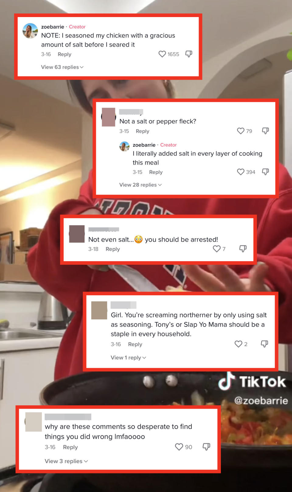 Various comments on the TikTok, like, "You're screaming northerner by only using salt as seasoning," and "Not even salt? You should be arrested!"