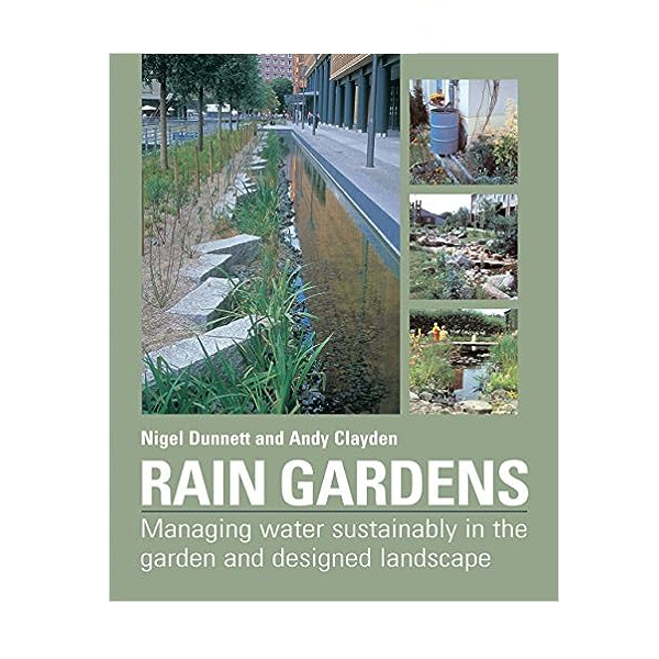 Rain gardens are the genius landscaping trick that will stop your