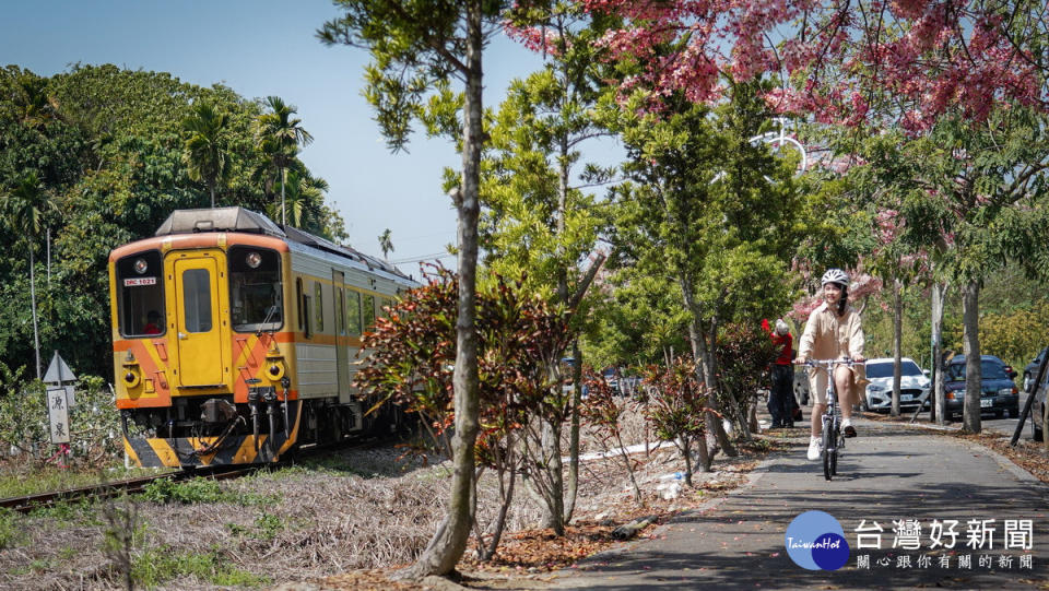 卦山三鐵線沿途風景美麗，值得賞花騎車一日遊。（參山管理處提供）