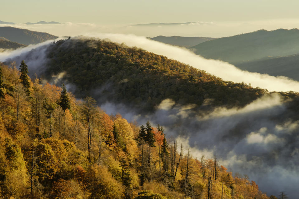 A designated National Parkway, the Blue Ridge Parkway follows the Blue Ridge Mountains 469 miles from Rockfish Gap, Virginia to Swain County, North Carolina. Along the way you&rsquo;ll see unparalleled panoramas, a range of wildlife and wildflowers and dozens of great hiking trails. Stay at the Peaks of Otter Lodge in Virginia or the Mt. Pisgah Inn and Lodge in North Carolina, just plan to do it during the season -- between April 15th and October 30th. Many of the parkway facilities, and parts of the parkway itself, are closed in the off-season.