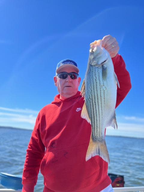 Just like saltwater, the freshwater bite is really hot! Just ask Tom Townly, of Homer City Pennsylvania as he holds up another quality hybrid striped bass caught while fishing with Capt. Paul Tyre on a recent guided trip.