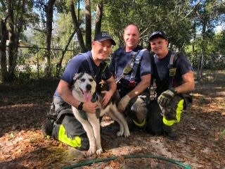 Escambia County Fire Rescue firefighters crawled beneath a home and cut concrete to free a dog with its head stuck in a cinder block.