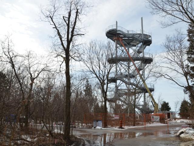 Point Pelee&#39;s observation tower pictured in a 2019 file photo.  (Tony Doucette/CBC - image credit)