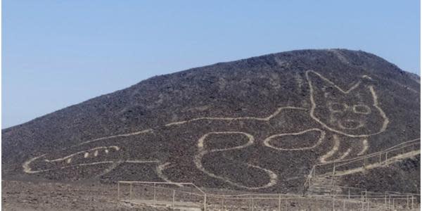 Descubren nuevas líneas en Nazca con forma de gato