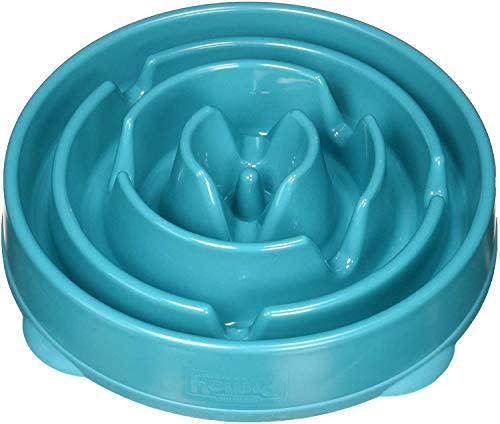 Outward Hound Fun Feeder Slow Bowl (Amazon / Amazon)