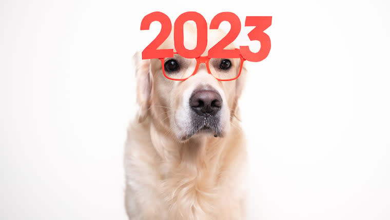 5 Dog-Inspired New Year’s Resolutions to Make in 2023