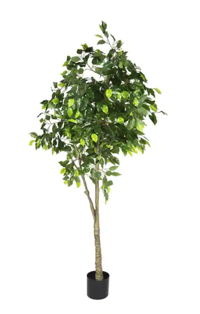 70 in. Green Artificial Ficus Tree in Black Pot Planter
