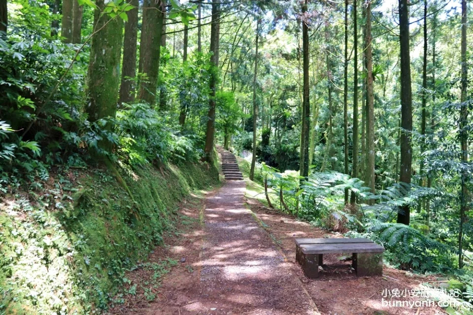 三峽熊空茶園