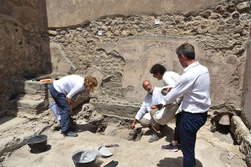 Land tortoise found among the excavations in Pompeii