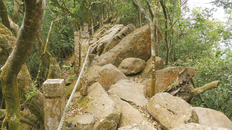 龍麟山步道（圖片來源：嘉義林管處）