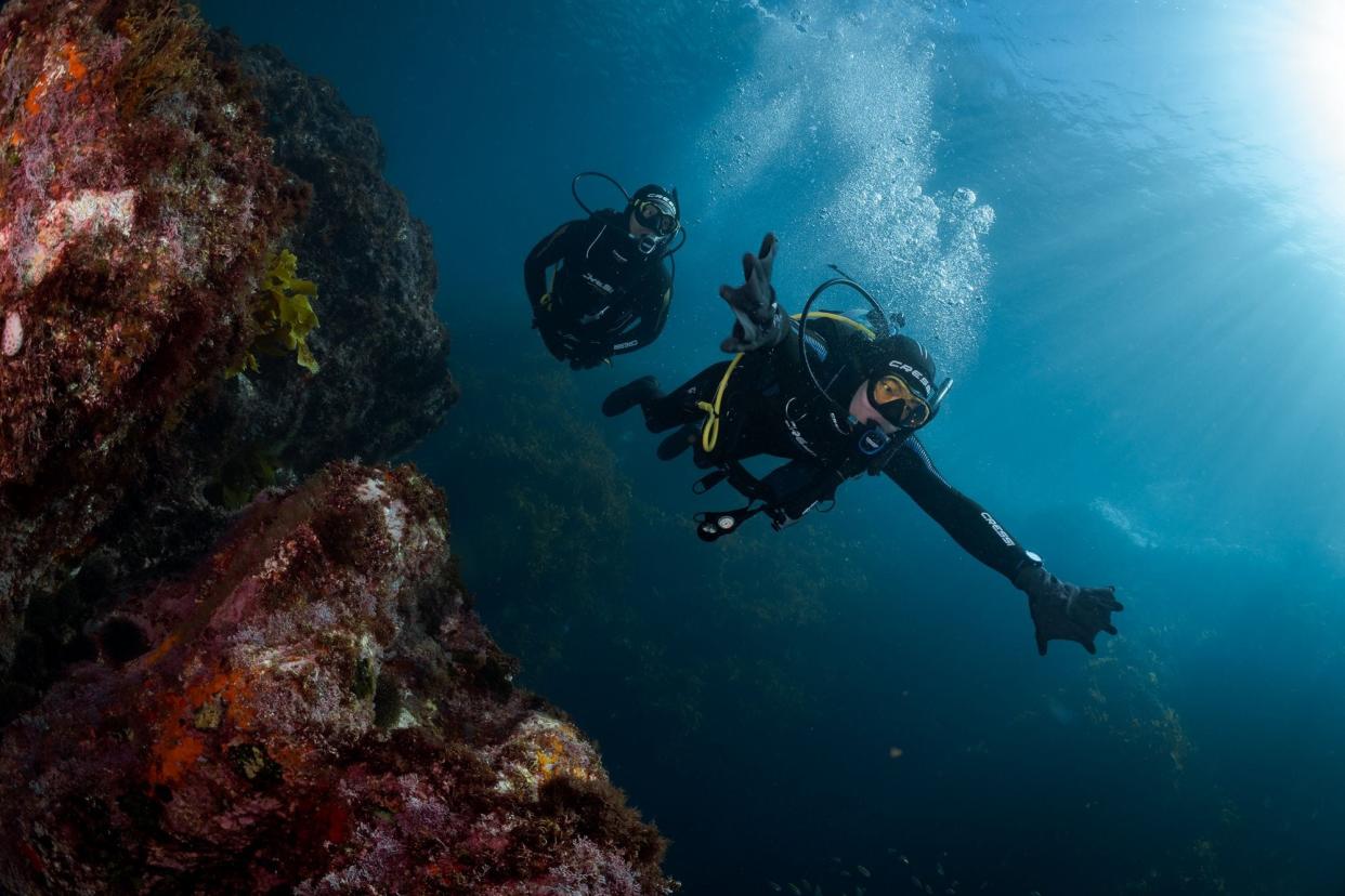 Ryan Chen uses webbed gloves to help him scuba dive.