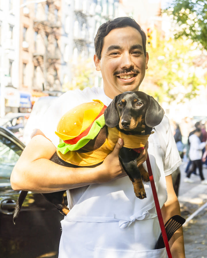 a dog dressed as a hot dog