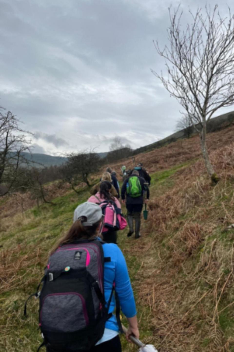 Oxford Mail: Volunteers from Valda Energy went to the Brecon Beacons to plant the trees