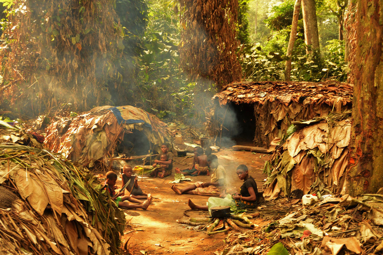 A Mbendjele camp in the Congo rainforest Dr Nikhil Chaudhary