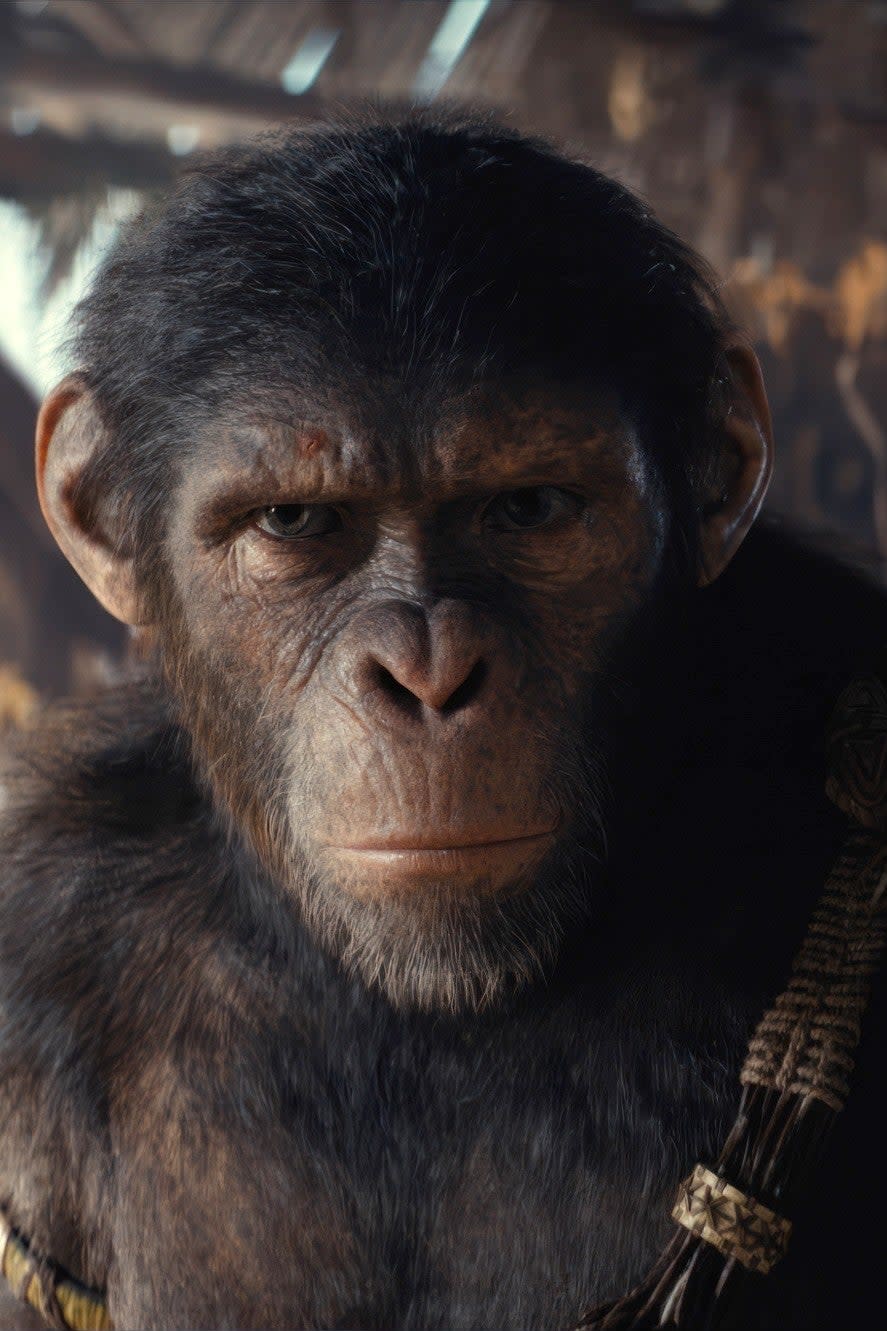 Noa looking series in Kingdom of the Planet of the Apes