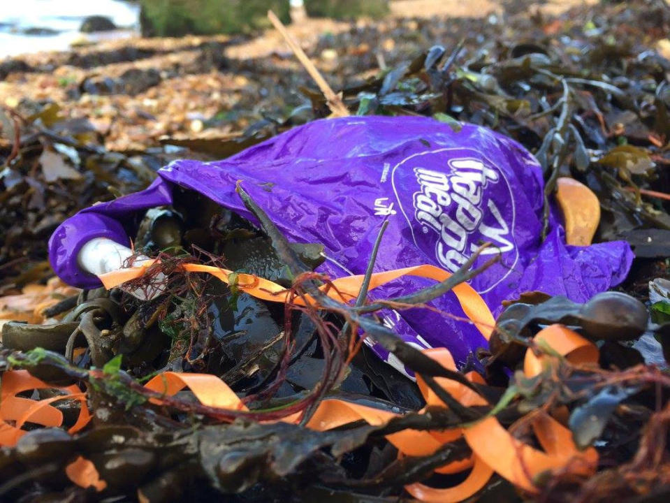 Shocking images have captured how balloons from McDonald’s Happy Meals are polluting the seas SWNS