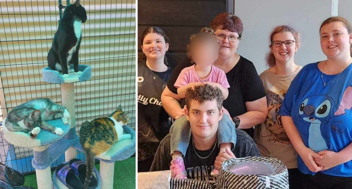 Australian family warns after three cats die within three days