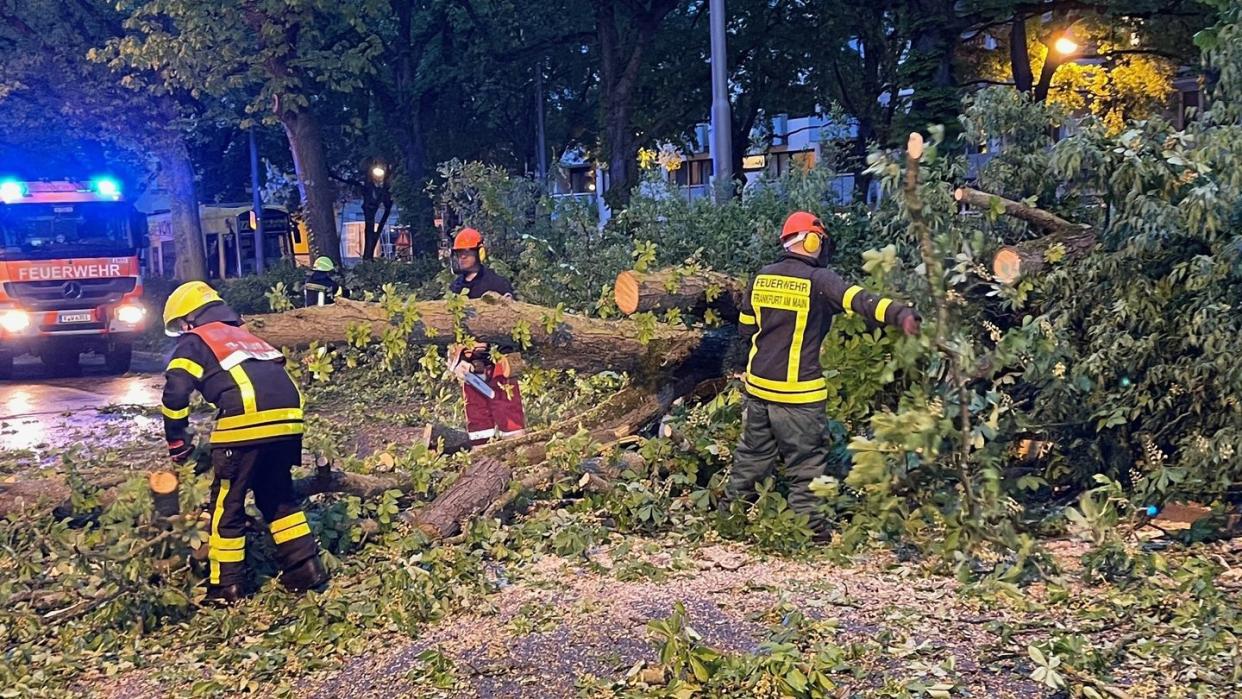 Ein Unwetter fegte gestern über Deutschland hinweg. (Bild: dpa)