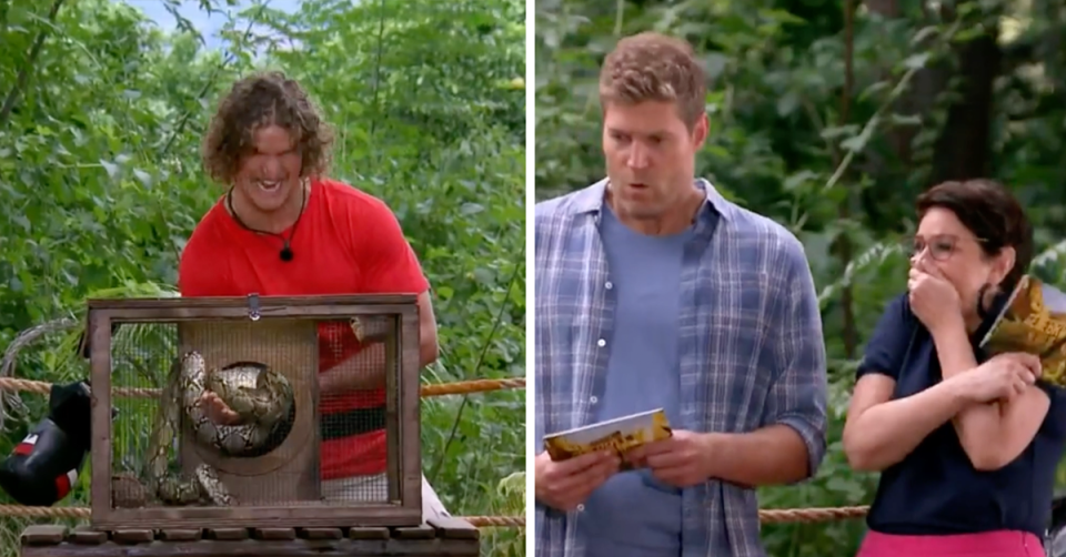 Nick ‘The Honey Badger’ Cummins being attacked by a snake on I’m A Celebrity / Dr Chris Brown and Julia Morris looking shocked,