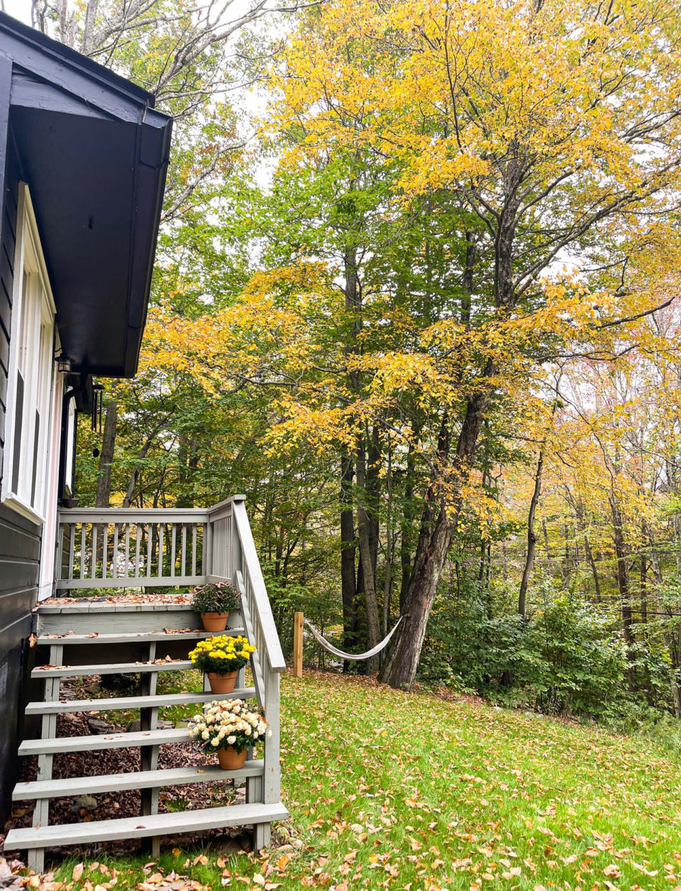 Author's house with flowers on front porch, hammock on a tree, and front lawn with falling leaves.