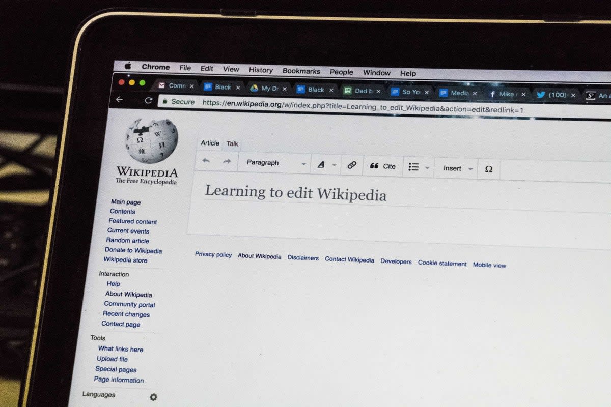 Wikipedia says that some of the educational material on its site may be misconstrued by regulators as pornography  (Wikimedia UK)
