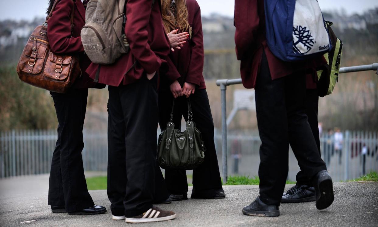 <span>Evidence that government policies are working – such as addressing misogyny among schoolchildren – could take years to emerge, said Phillips.</span><span>Photograph: Adrian Sherratt/Alamy</span>