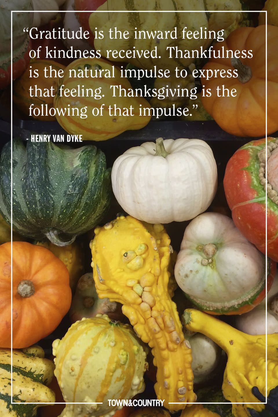 32 Quotes About Thanksgiving to Inspire Gratitude Ahead of the Holiday