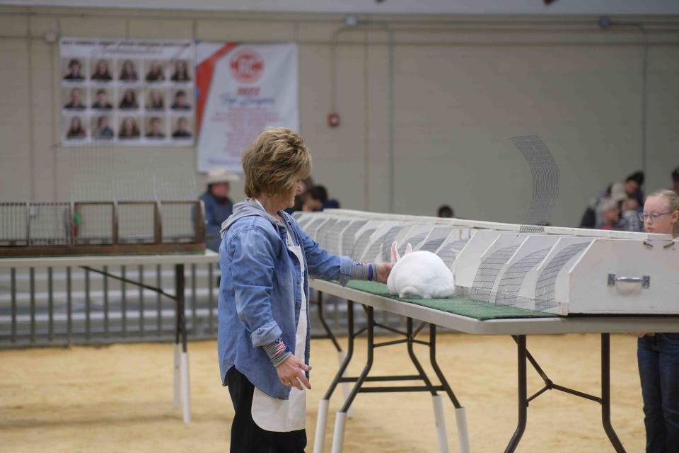 A contestant looks on as a livestock judge examines her rabbit at the 2023 Randall County Junior Livestock Show at the Happy State Bank Events Center in Amarillo. This year's event begins Monday and runs through Jan. 13.