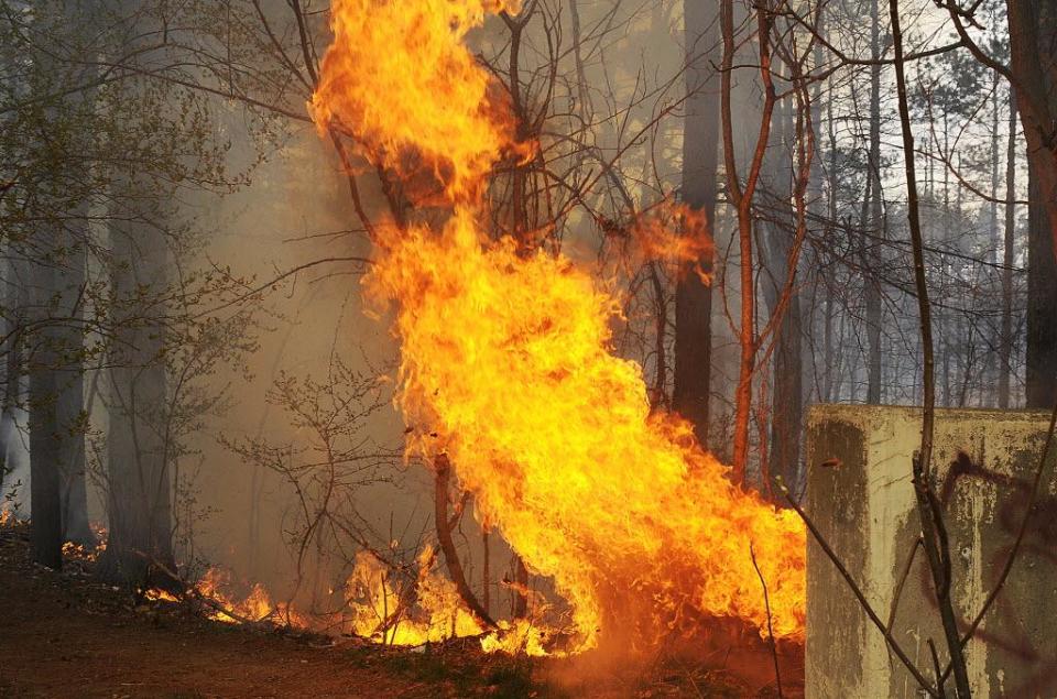 A brush fire burned several acres behind South High Community School in Worcester, Massachusetts in 2012.