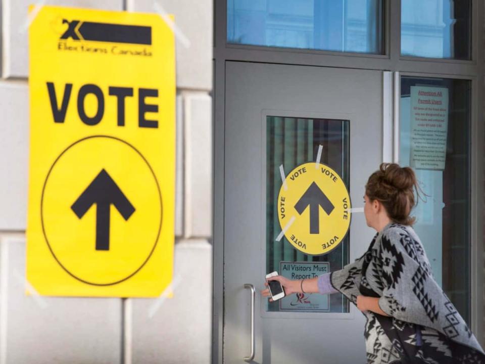 Some New Brunswickers may be voting in different ridings in the next federal election if proposed changes to the province's electoral map are implemented. (Peter Power/The Canadian Press - image credit)