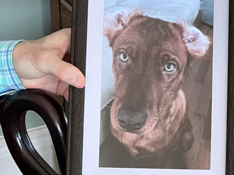 Emery Walters keeps photos and videos of his dog Milo in a digital photo frame. The frame was a gift from Walters' son at Christmas.