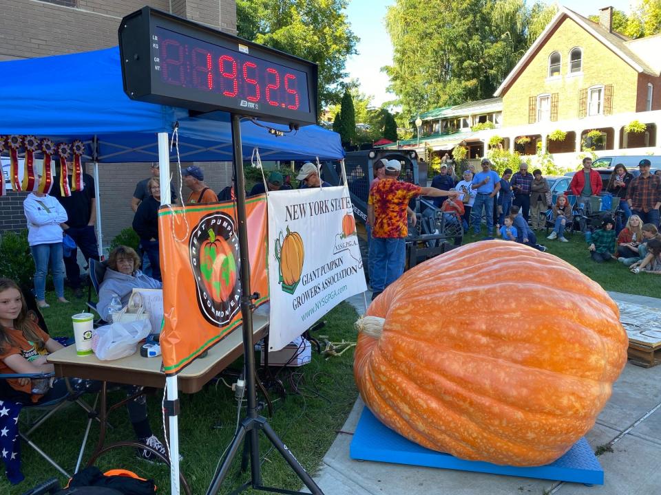 Weighing in at 1,952 pounds, Todd Kogut's giant pumpkin placed second at the Saratoga's Giant PumpkinFest Sept. 26.