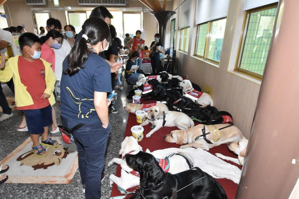 台灣導盲犬協會的導盲犬和彰基醫療輔助犬亞瑟和早產兒及家長相見歡。（記者曾厚銘攝）
