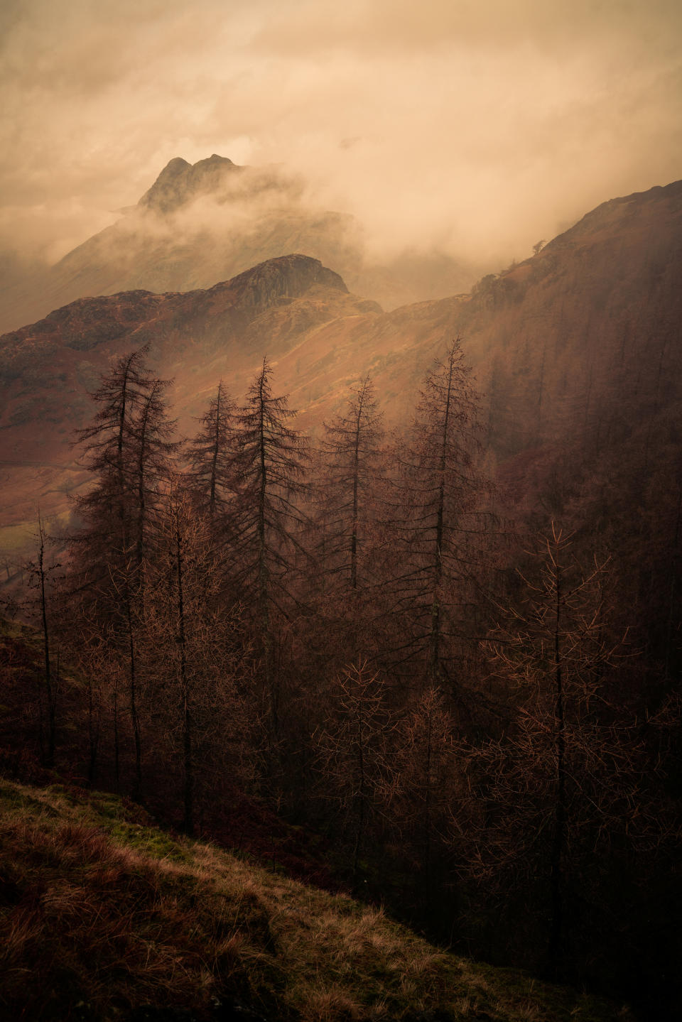 This moody image by Jason Hudson was taken in the Lake District, Cumbria, England.