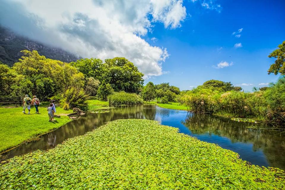 克爾斯坦博斯國家植物園（Image Source : Getty Creative/iStockphoto）