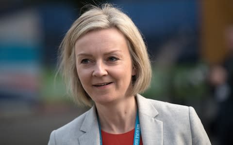 Liz Truss - Credit:  Carl Court/2017 Getty Images