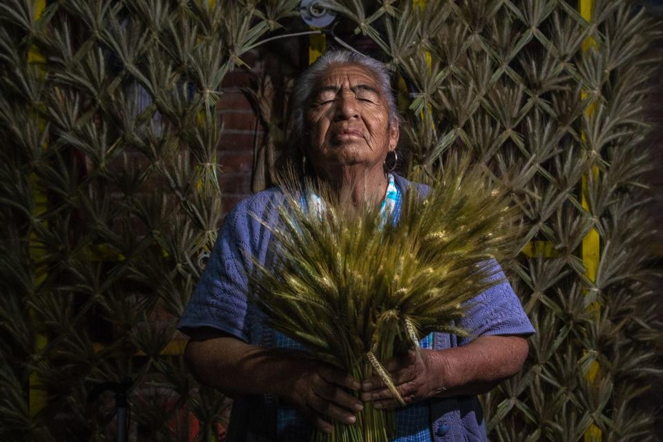 Habitantes del poblado de Tlaxcoapan, Hidalgo, luchan por mantener vigente la llamada "Fiesta de Espigas", para pedir por las lluvias para la cosecha, en esta festividad los pobladores hacen portadas de trigo y tapetes de colores.