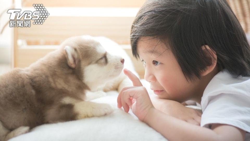 研究人員建議，不論品種飼主都應努力讓寵物從小就適應人類。（圖／shutterstock達志影像）