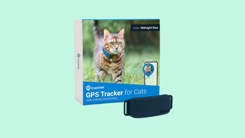 Keep tabs on your feline friend with a tracker.