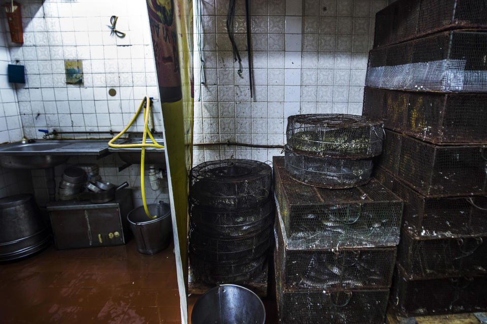 Image: Cages filled with snakes in the kitchen of the She Wong Lam snake store and restaurant in the Sheung Wan district of Hong Kong, China. (Justin Chin / Bloomberg via Getty Images file)