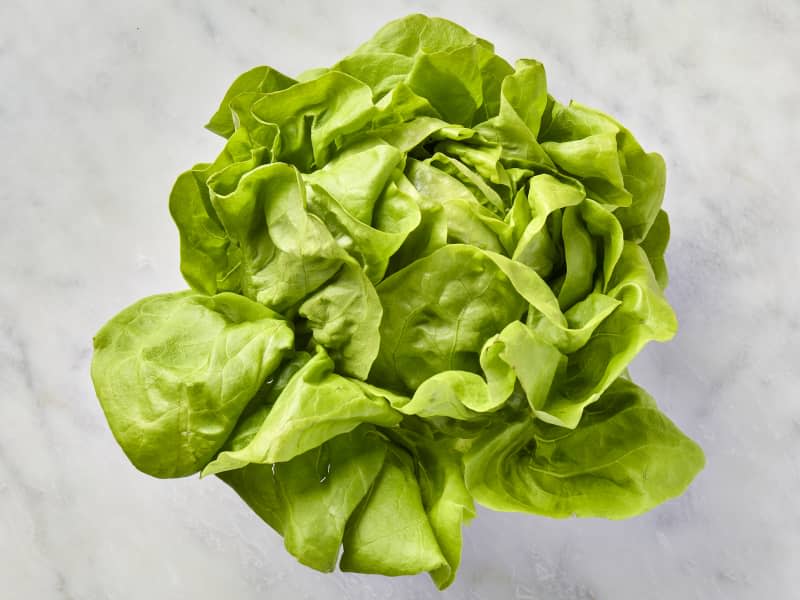 butterhead lettuce