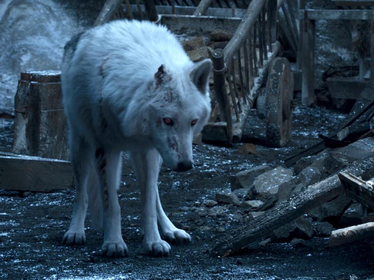 Ghost direwolf sad Game of Thrones HBO season 8 episode 4